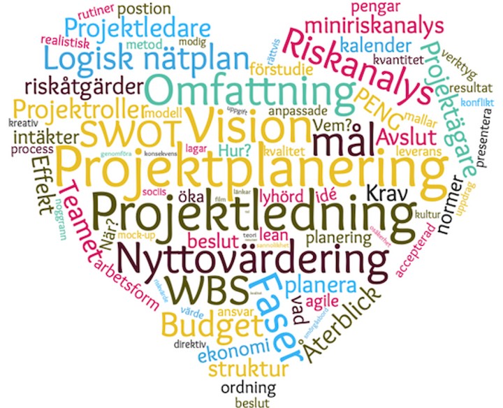 Image for Projektmetodik