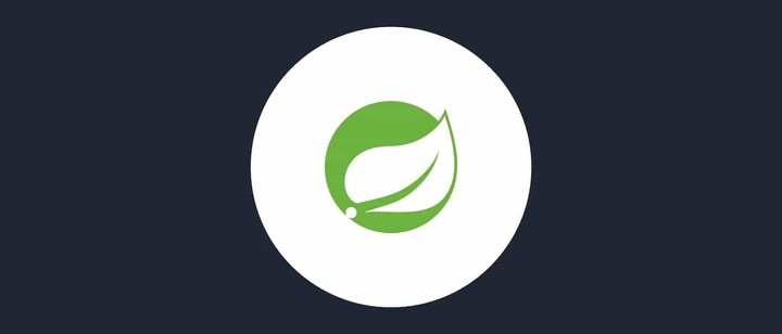 Image for Spring Security
