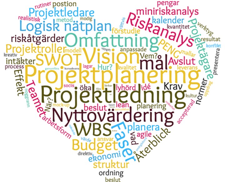 Image for Grundläggande projektmetodik