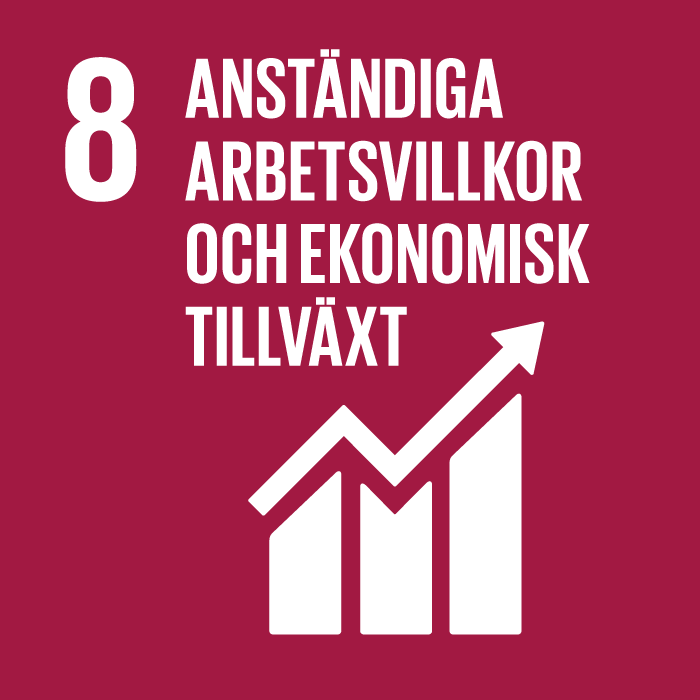 Sustainability Goal 3